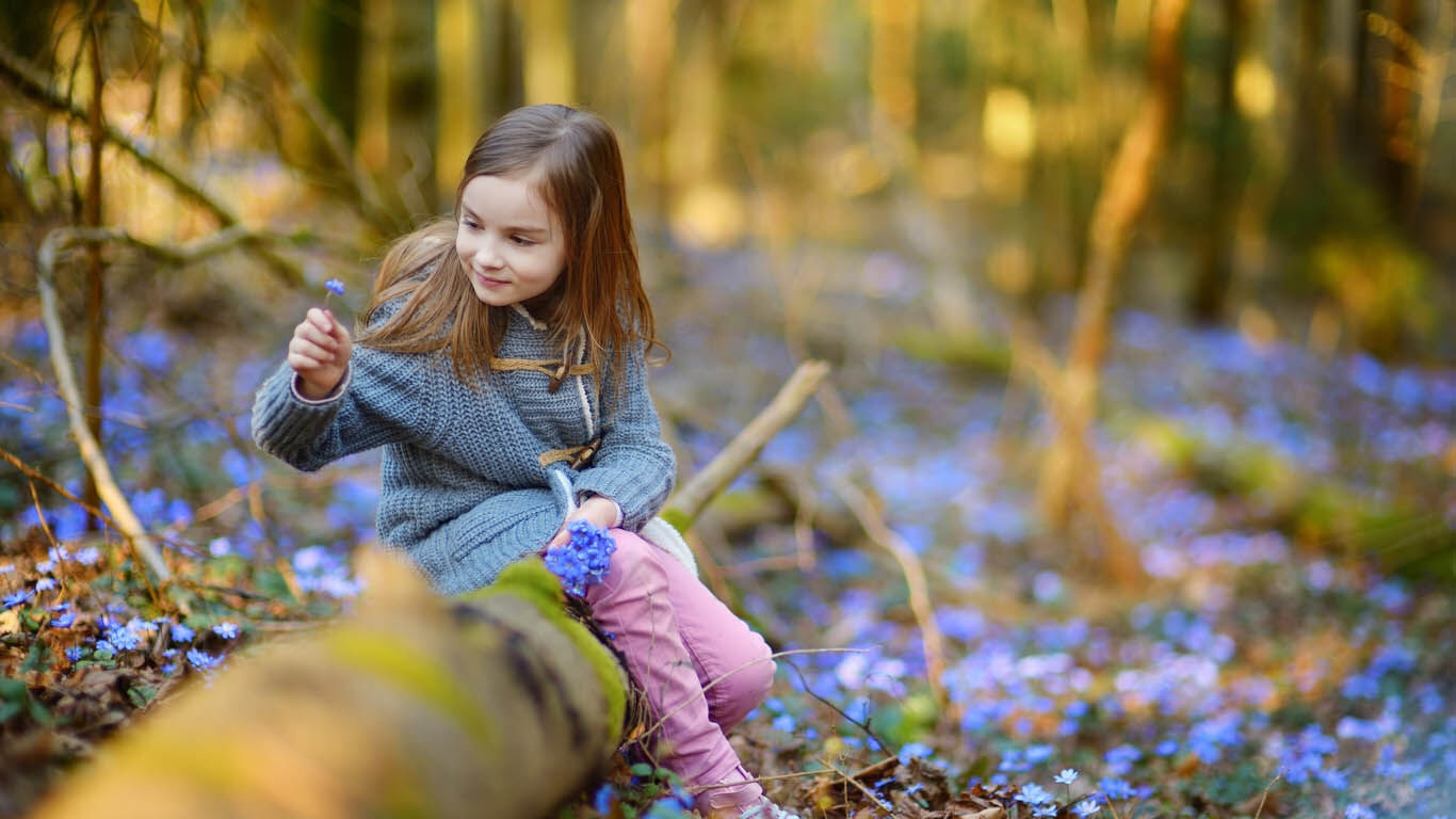 idées de jeux en forêt