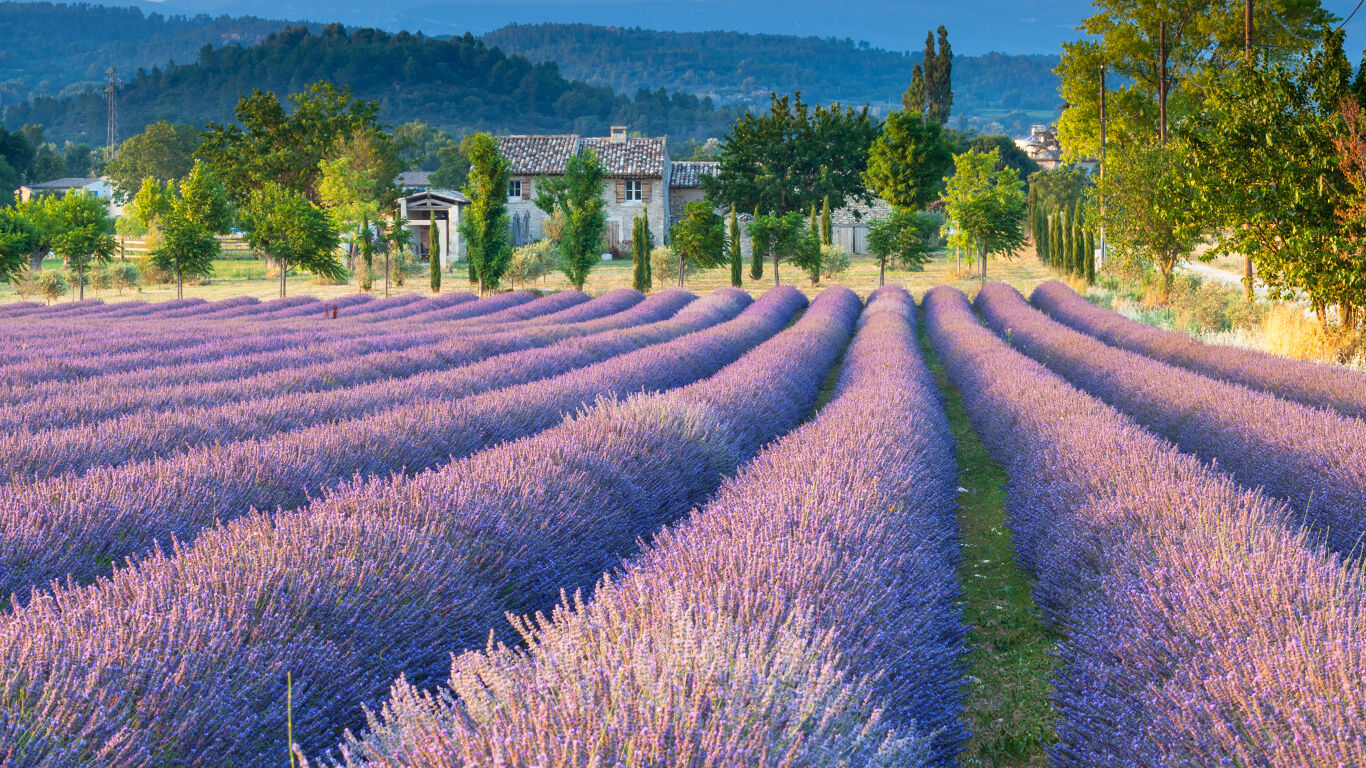 Kneipp Lavendel Provence