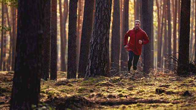 Un homme en tenue de sport fait son jogging dans la forêt.