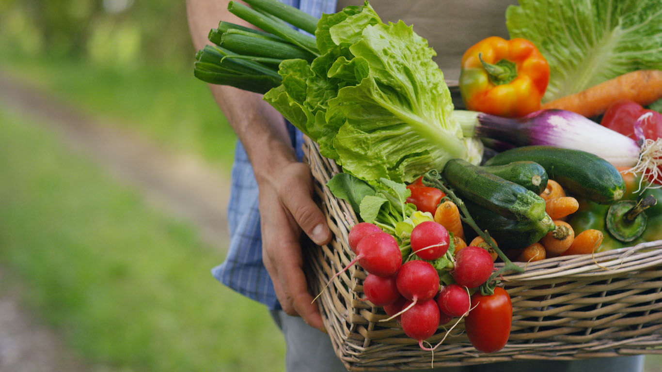 Femme portant un panier de légumes de saison colorés.