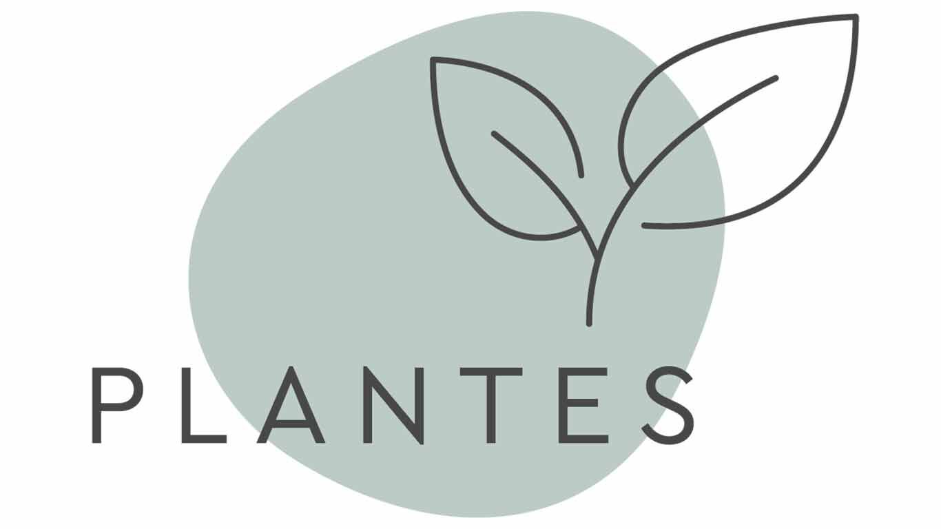 Ic&ocirc;ne de la philosophie des 5 piliers de Kneipp : les plantes