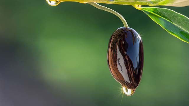 Natuurlijke olie voor huidverzorging