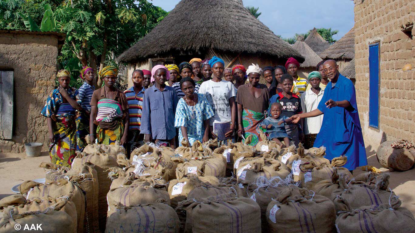 Vrouwen pronken trots met hun oogst aan karité-noten
