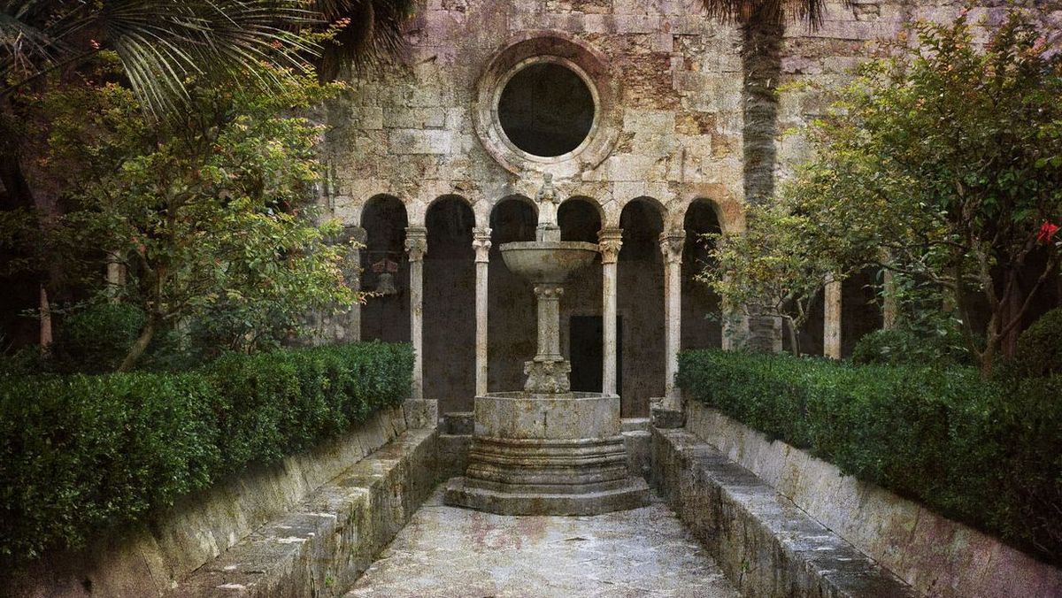 Citroenmelisse helpt bij verkoudheid en slaapstoornissen