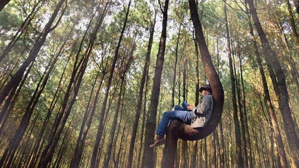 Man met boek zittend op een boom in de vorm van een hangmat.