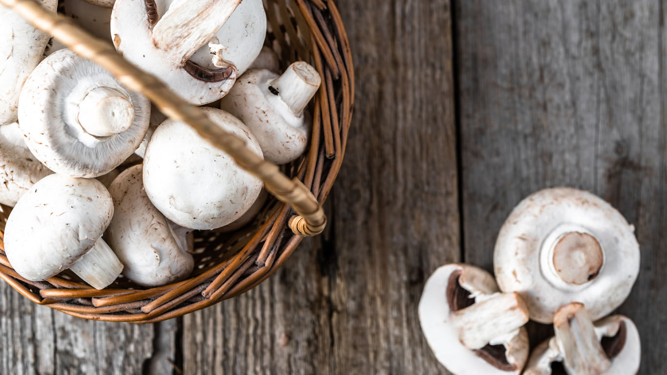 Paddenstoelen zijn vitamine D leveranciers