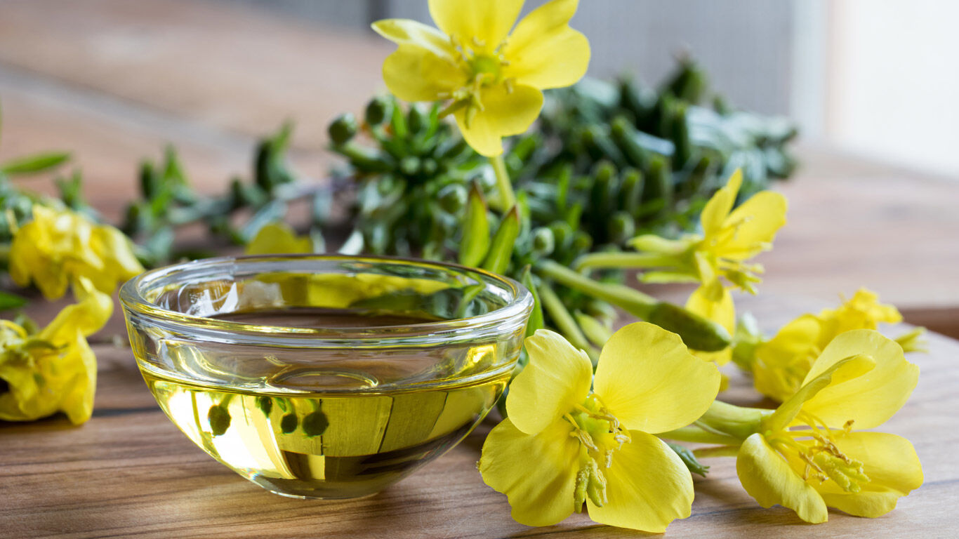 Plante d'onagre à côté d'huile d'onagre dans une coupe en verre.