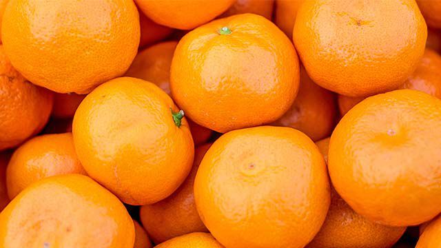 Gros plan sur des mandarines en barquette