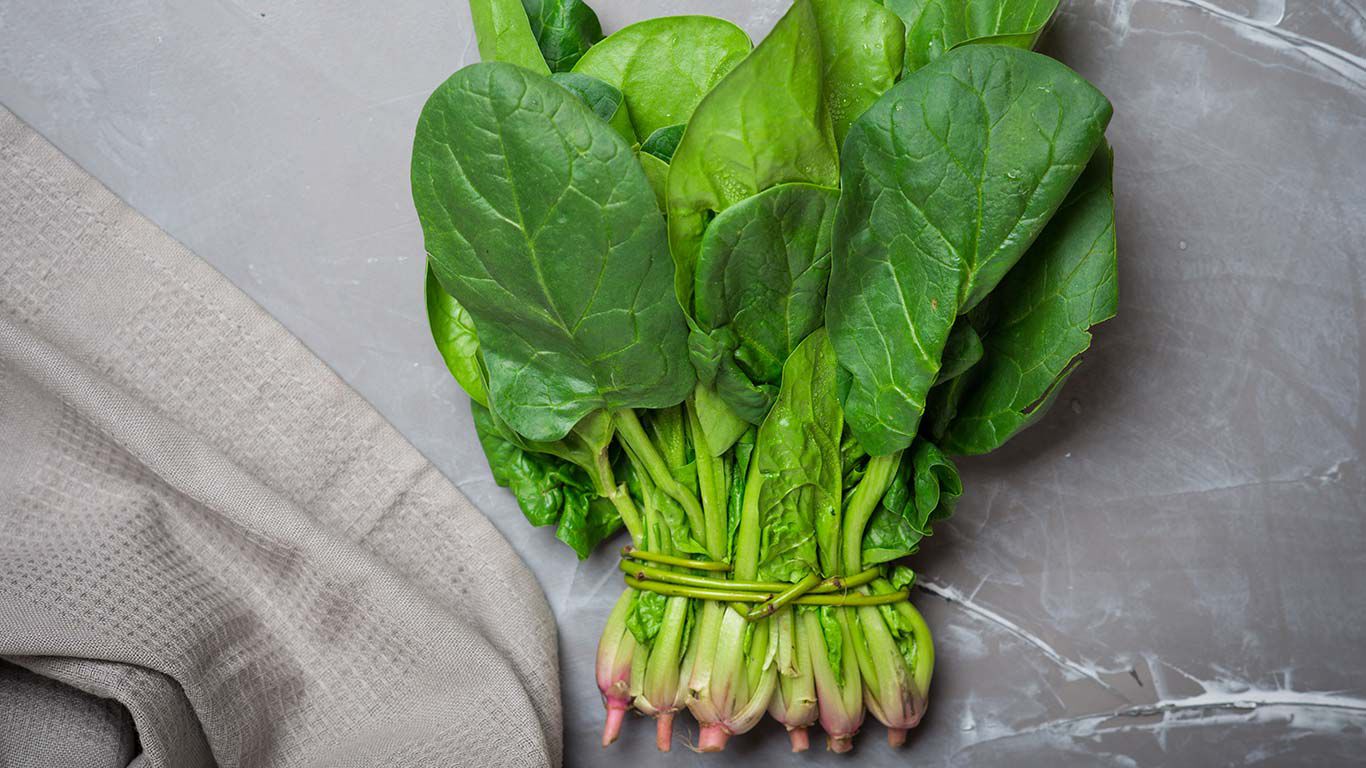 Les courgettes : recettes, bienfaits pour la santé et astuces de culture -  Nutri Green Planet