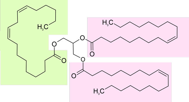 Representation for a triglyceride in almond oil (green=linoleic acid; pink=oleic acid)