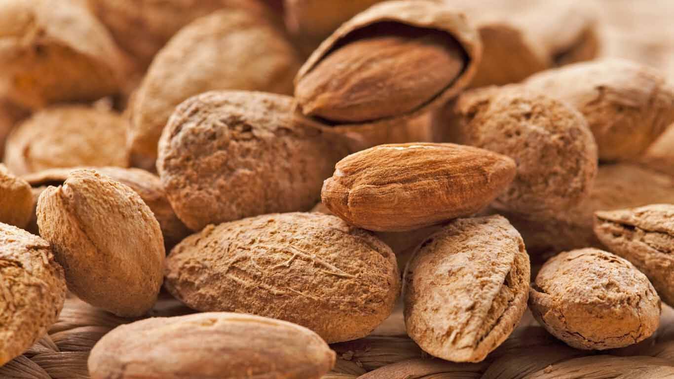 Les amandes à coque souple peuvent être cassées à la main.