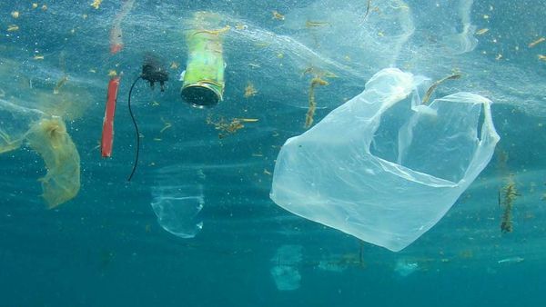 Articles en plastique dans la mer.