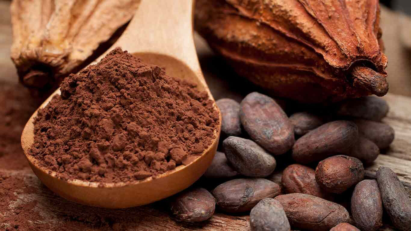 Fèves de cacao et poudre de cacao.
