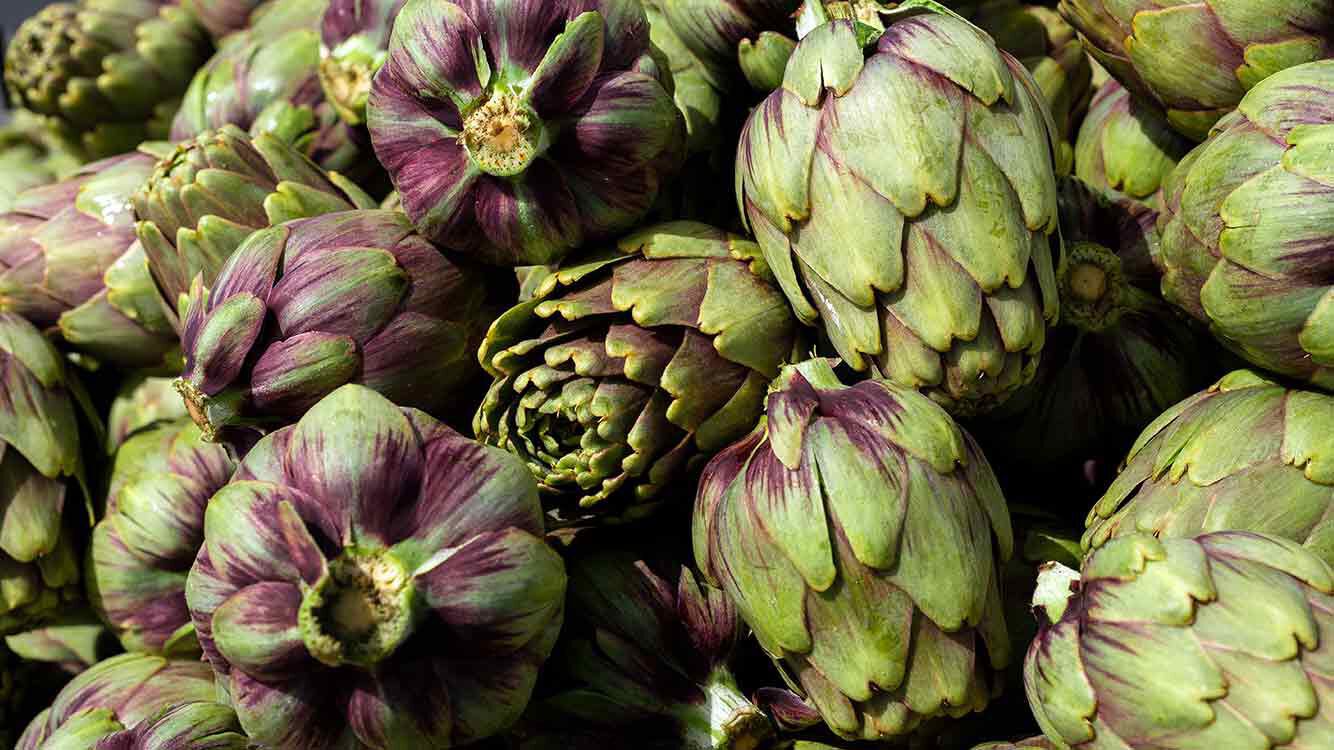 Les substances am&egrave;res - un cadeau sain de la nature  