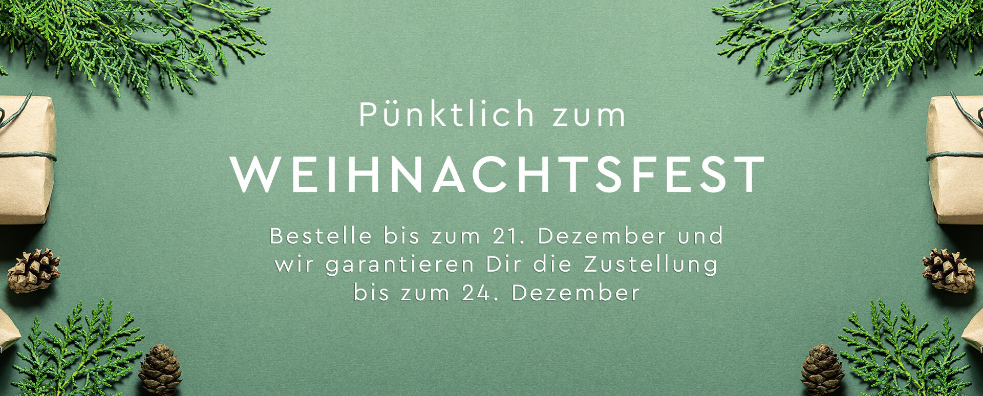 Bestelle bis 21. Dezember und wir garantieren dir die Zustellung bis zum 24. Dezember