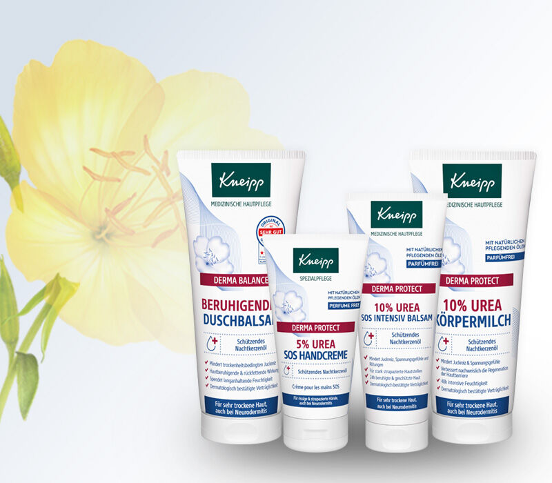 Abbildung einiger Produkte der Derma-Serie