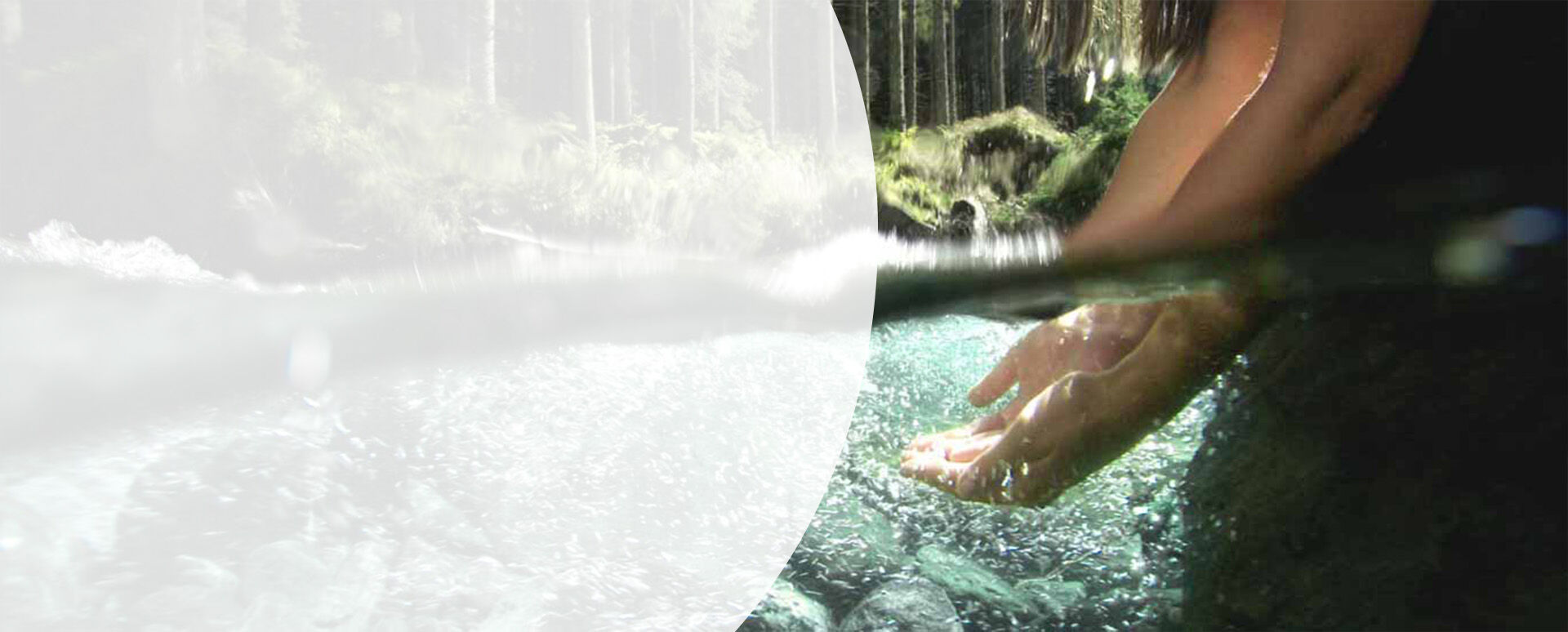 Unterwasseraufnahme von zwei Händen im Wasser, im Hintergrund Waldlandschaft.