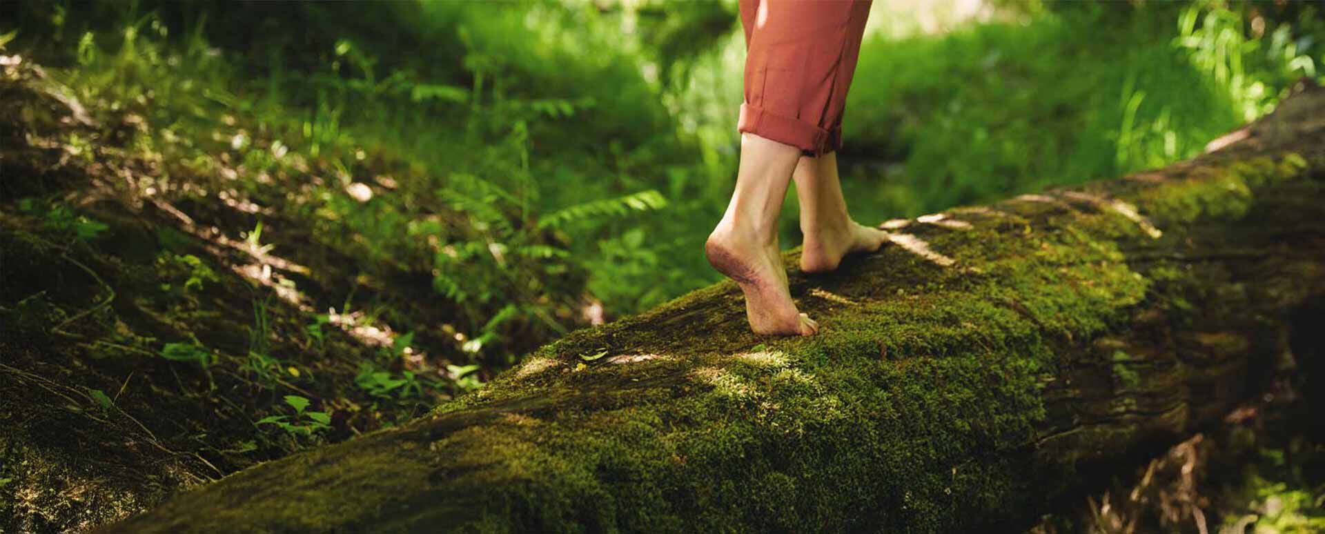Frauenbeine ab Wade abwärts laufen auf einem bemoostem Baumstamm im Wald. 