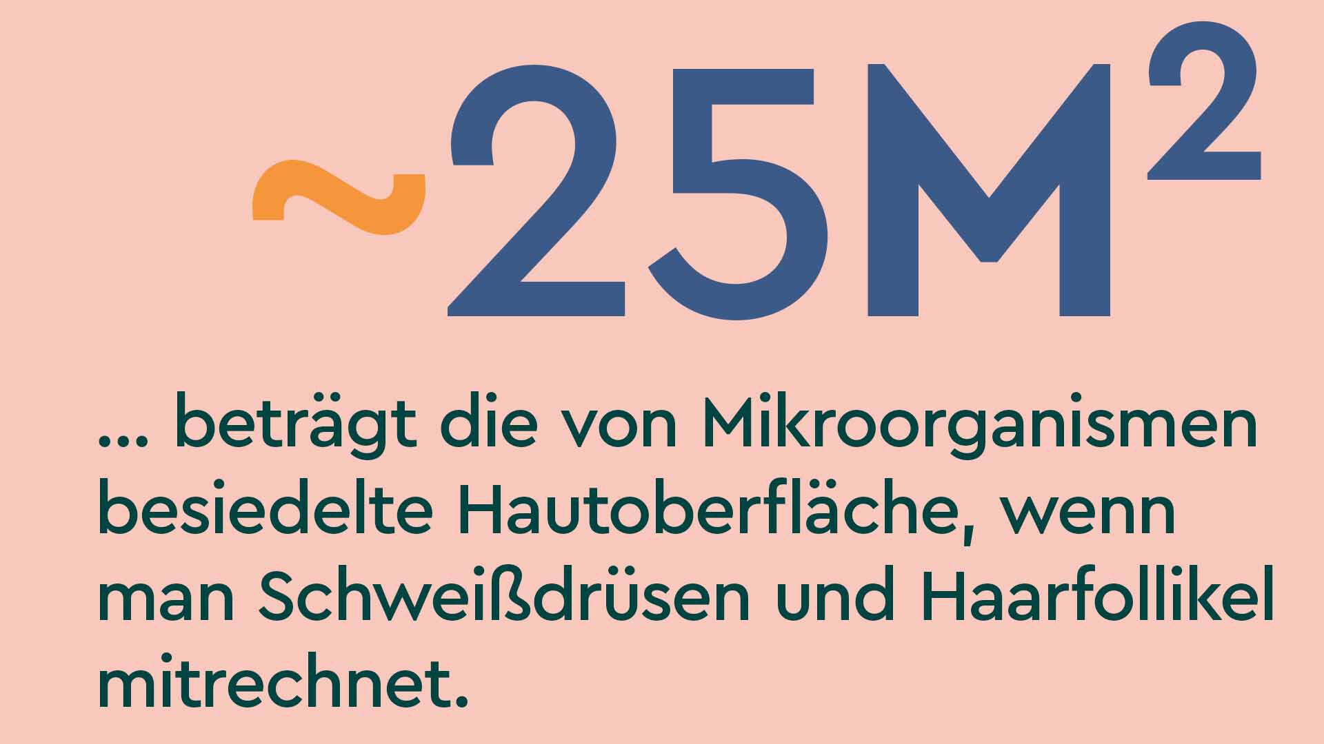 Rosafarbener Hintergrund mit Text auf Bild: ~25 Quadratmeter beträgt die von Mikroorganismen besiedelte Hautoberfläche, wenn man Schweißdrüsen und Haarfollikel mitrechnet.