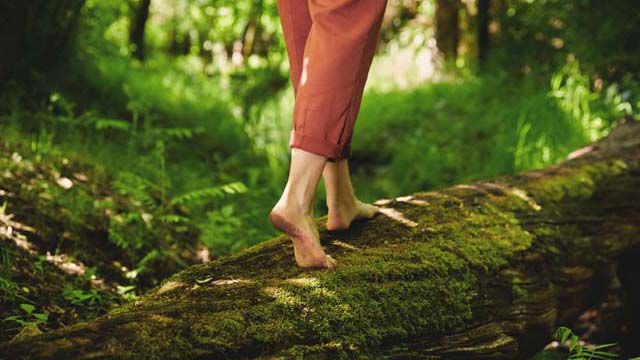 Frau läuft auf einem Baumstamm im Wald, wobei das Bild aus einer Nahaufnahme von ihren Füßen besteht.