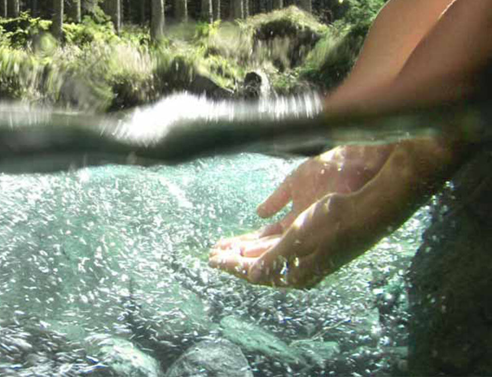 H&auml;nde tauchen unter Wasser.