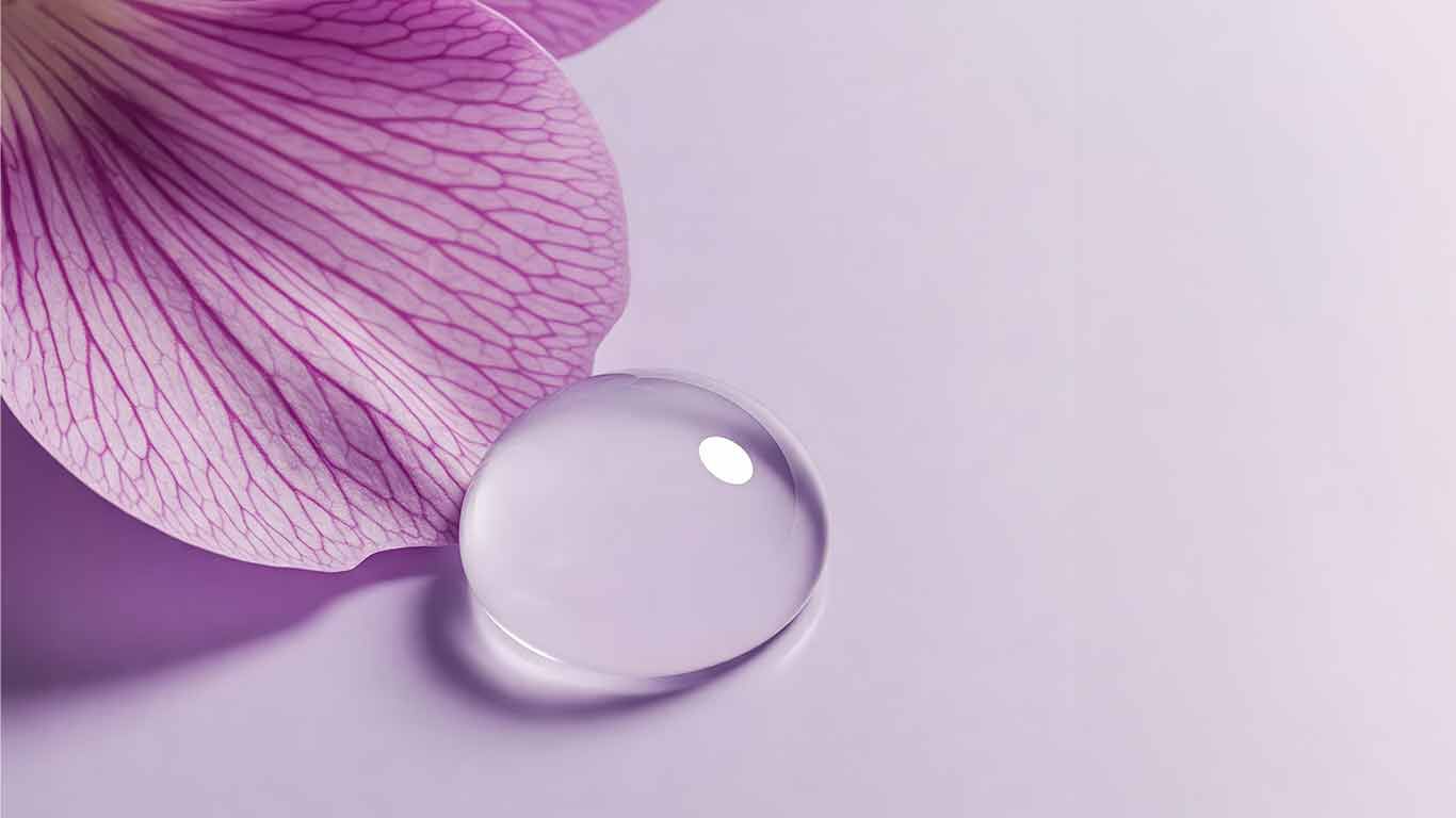Bakuchiol-Blüte, von der ein Wassertropfen perlt auf rosafarbenem Hintergrund. KI Bild. 