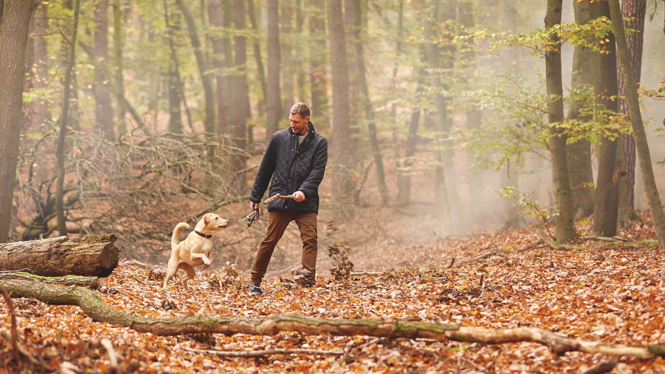 Mann spielt mit einem Hund im Wald.