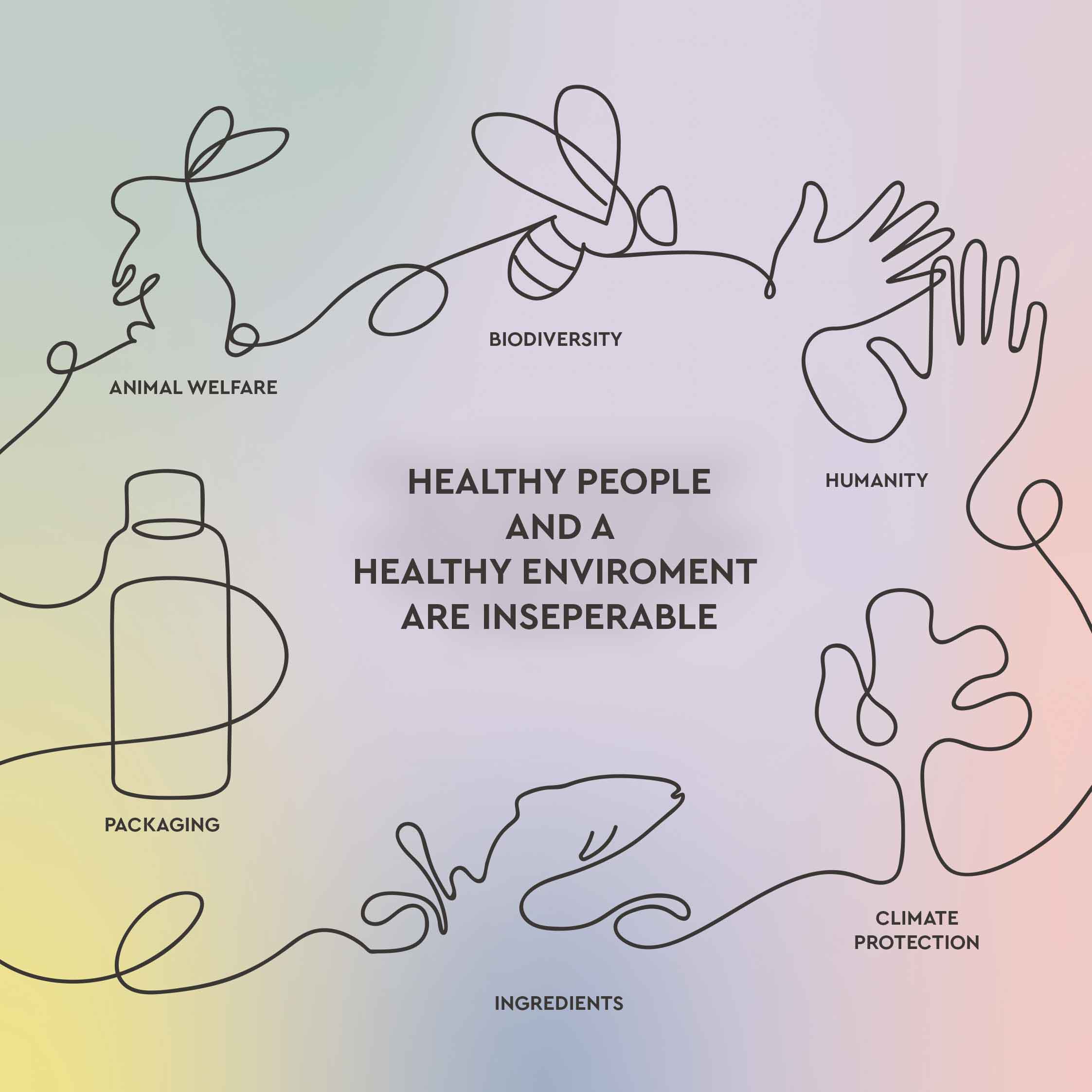 Infographic Kneip Sustainability Efforts. 
