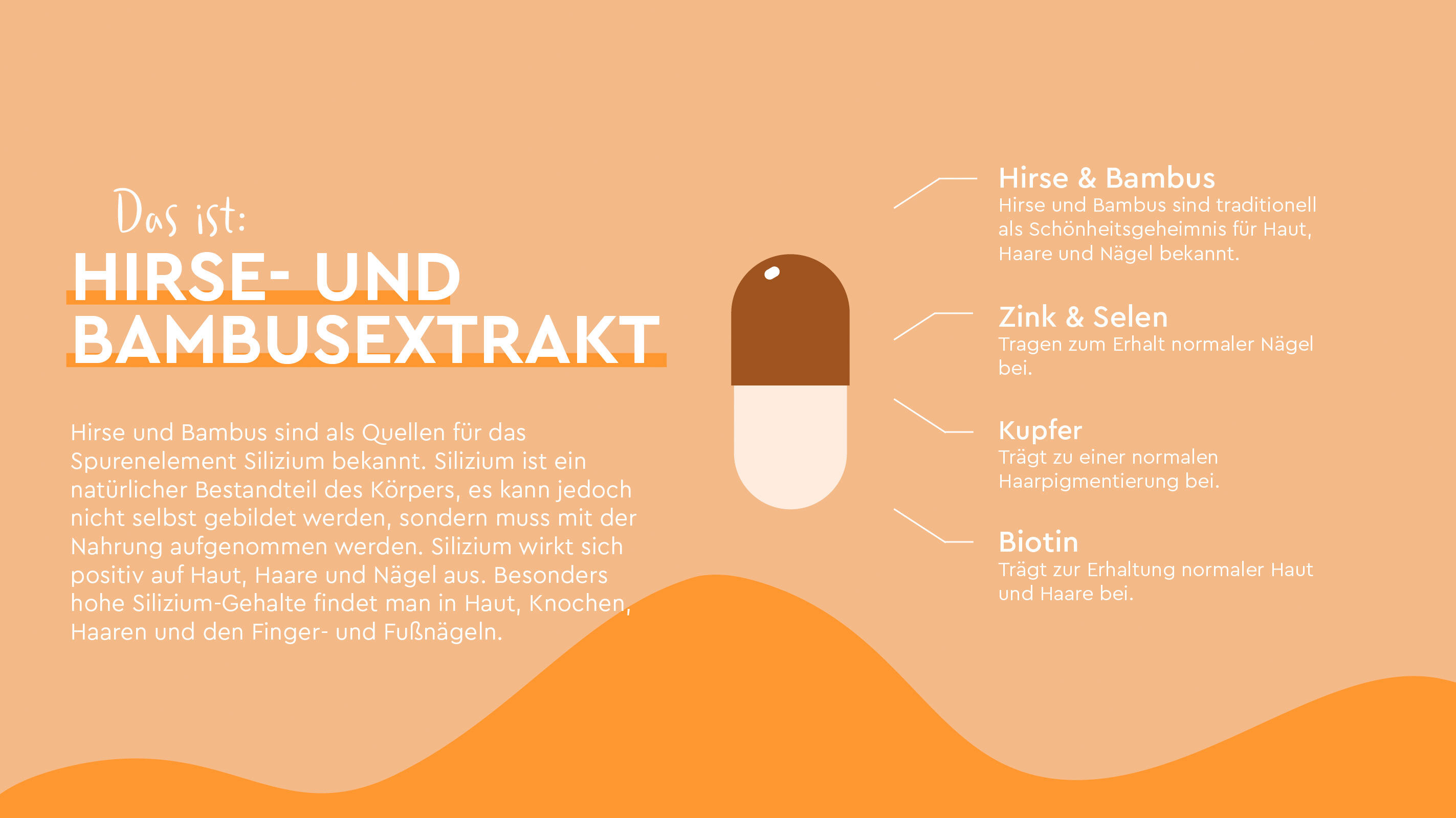 Infografik der Inhaltsstoffe Hirse- und Bambusextrakt