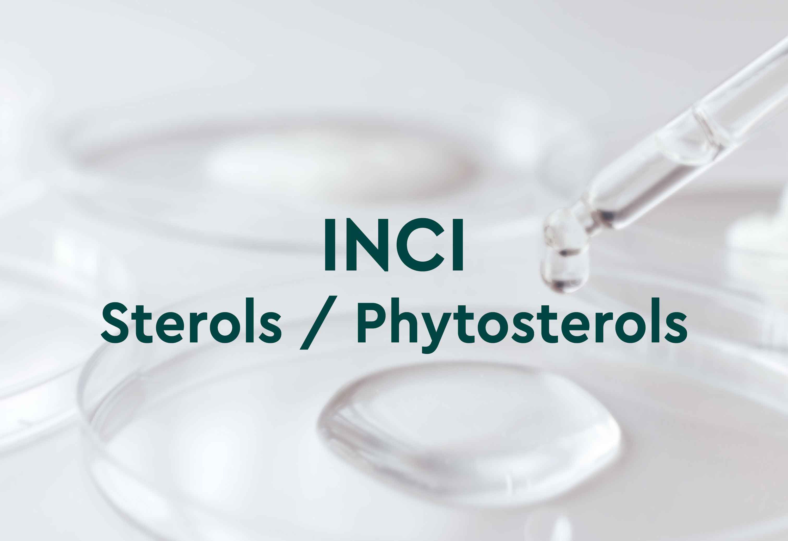 Bild mit Pipette und Petrischale mit Flüssigkeit, darauf Text: INCI Sterols / Phytosterols.