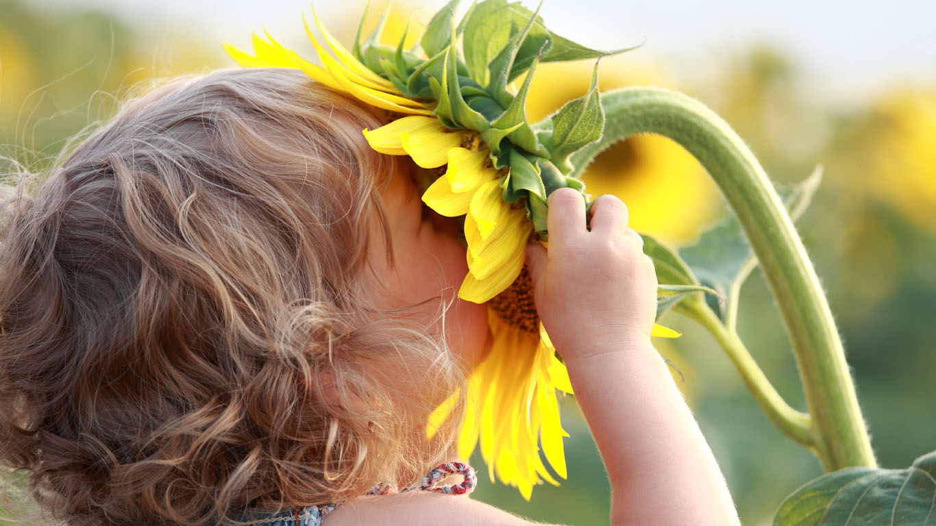 Children's sense of smell