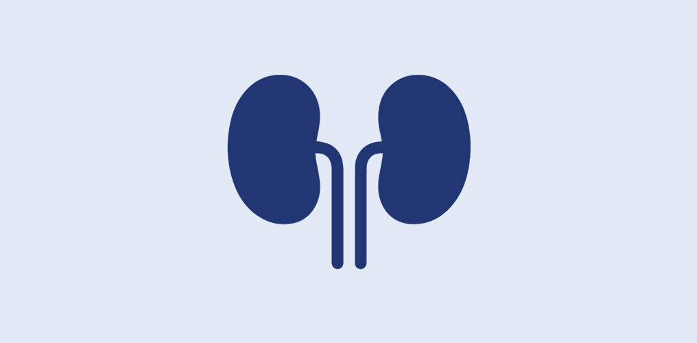 memido Gesundheits-Parameter Gesundheit der Nieren