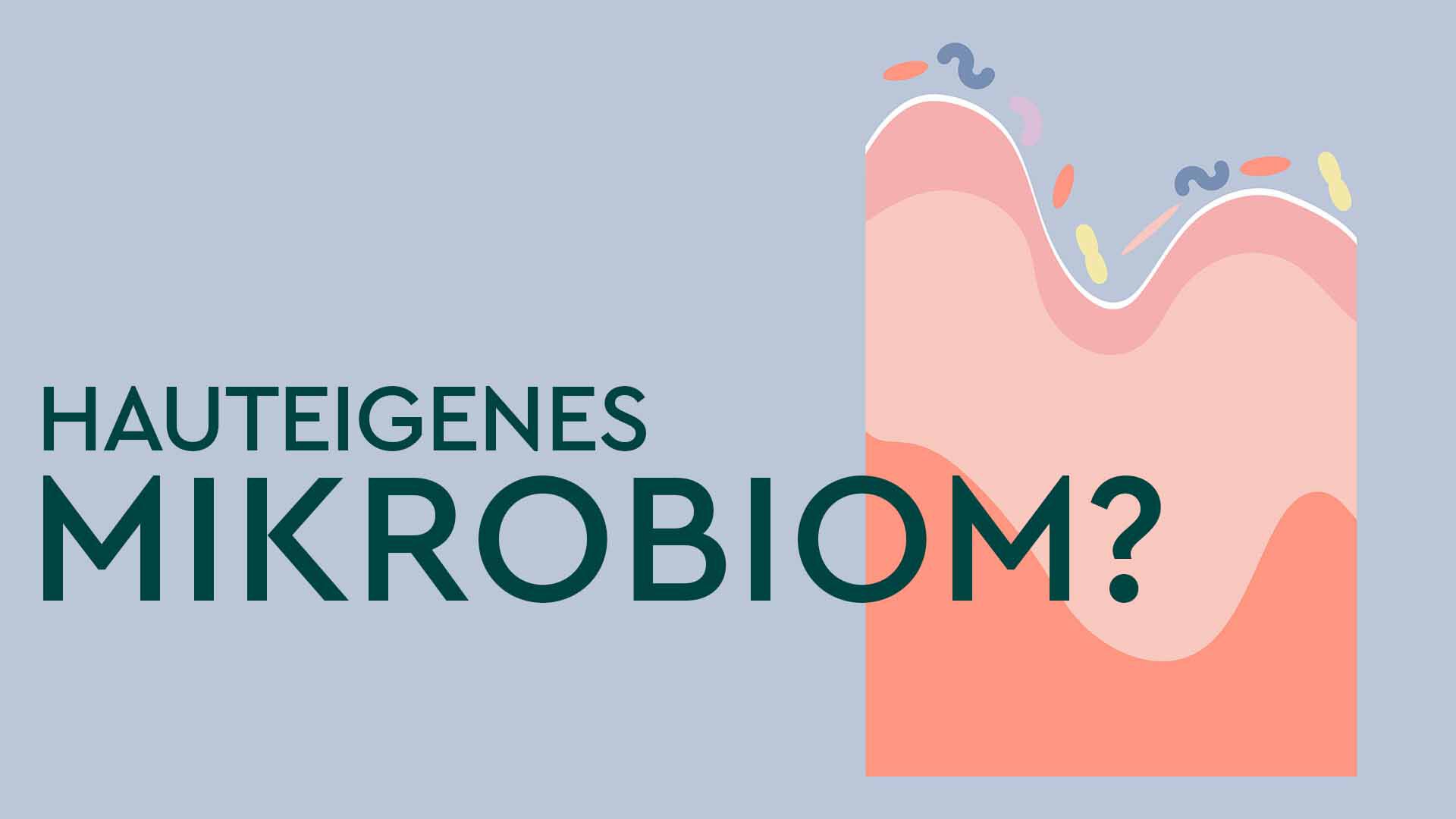 Blaues Titelbild einer Galerie mit Fakten zum Hautmikrobiom