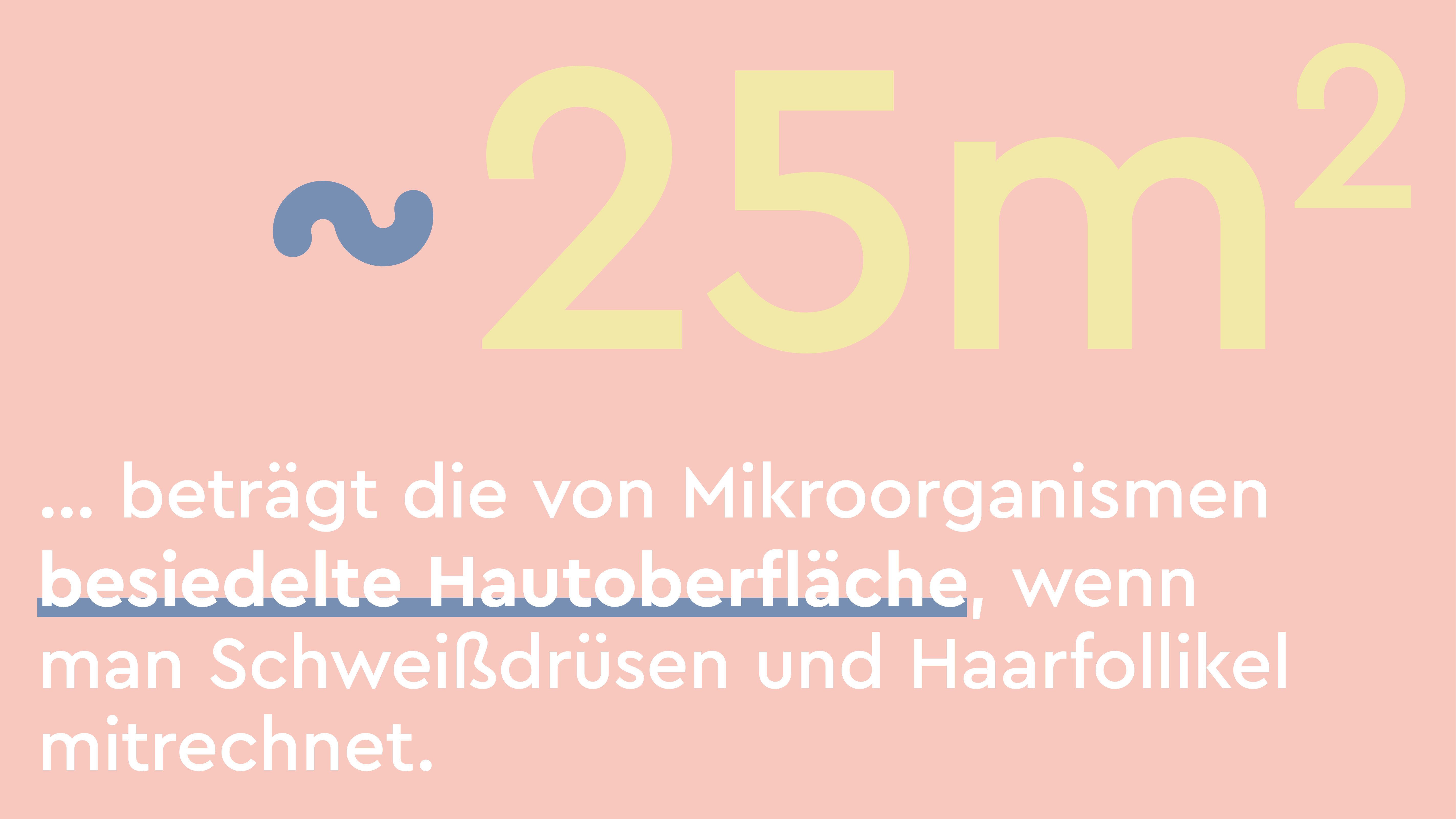 Die von Mikroorganismen besiedelte Hautoberfläche beträgt 25 Quadratmeter, wenn man Schweißdrüsen und Haarfollikel mitrechnet.