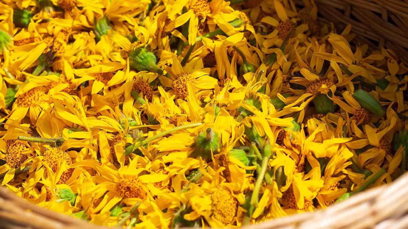 Nahaufnahme von Blüten in einem Korb. 