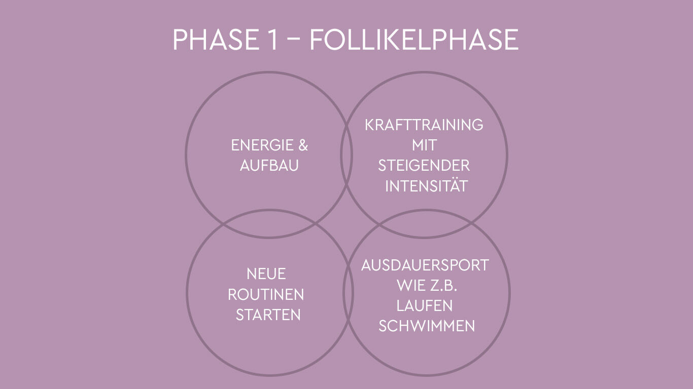 Illustration: Follikelphase im zyklusbasierten Training: Energieaufbau, Krafttraining mit steigender Intensit&auml;t und neue Routinen starten