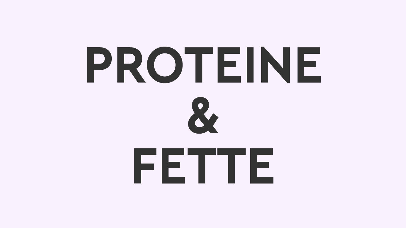 Text auf fliederfarbener Farbfläche: Proteine & Fette