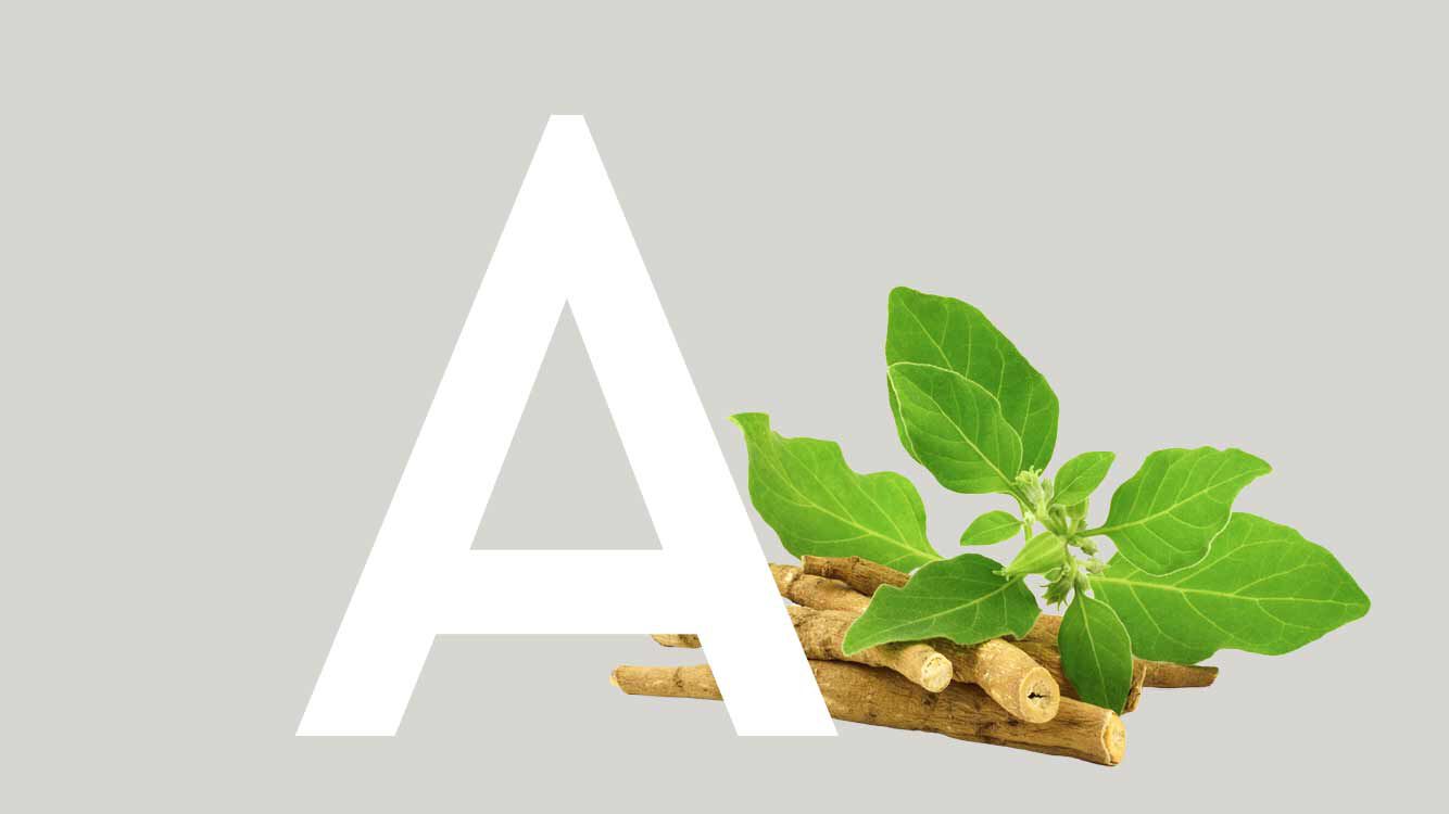 Ashwagandha Pflanze und Buchstabe A.