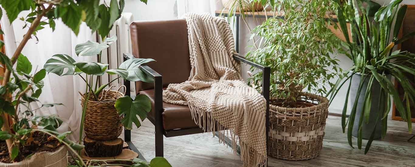 Urban Jungle in einer Wohnung: ein Stuhl mit Decke darüber ist eingerahmt von vielen Zimmerpflanzen. 