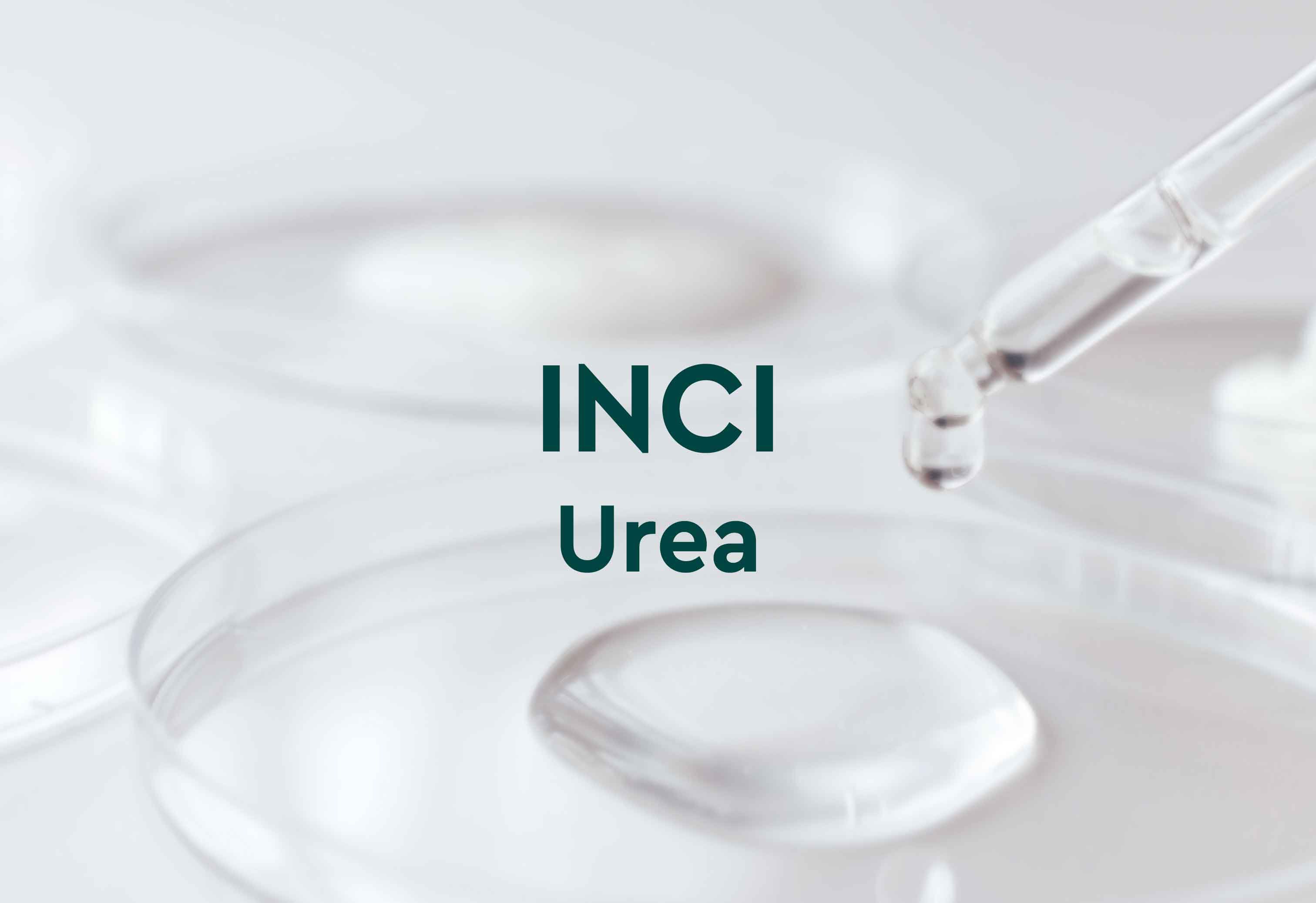 Bild mit Pipette und Petrischale mit Flüssigkeit, darauf Text: INCI Urea