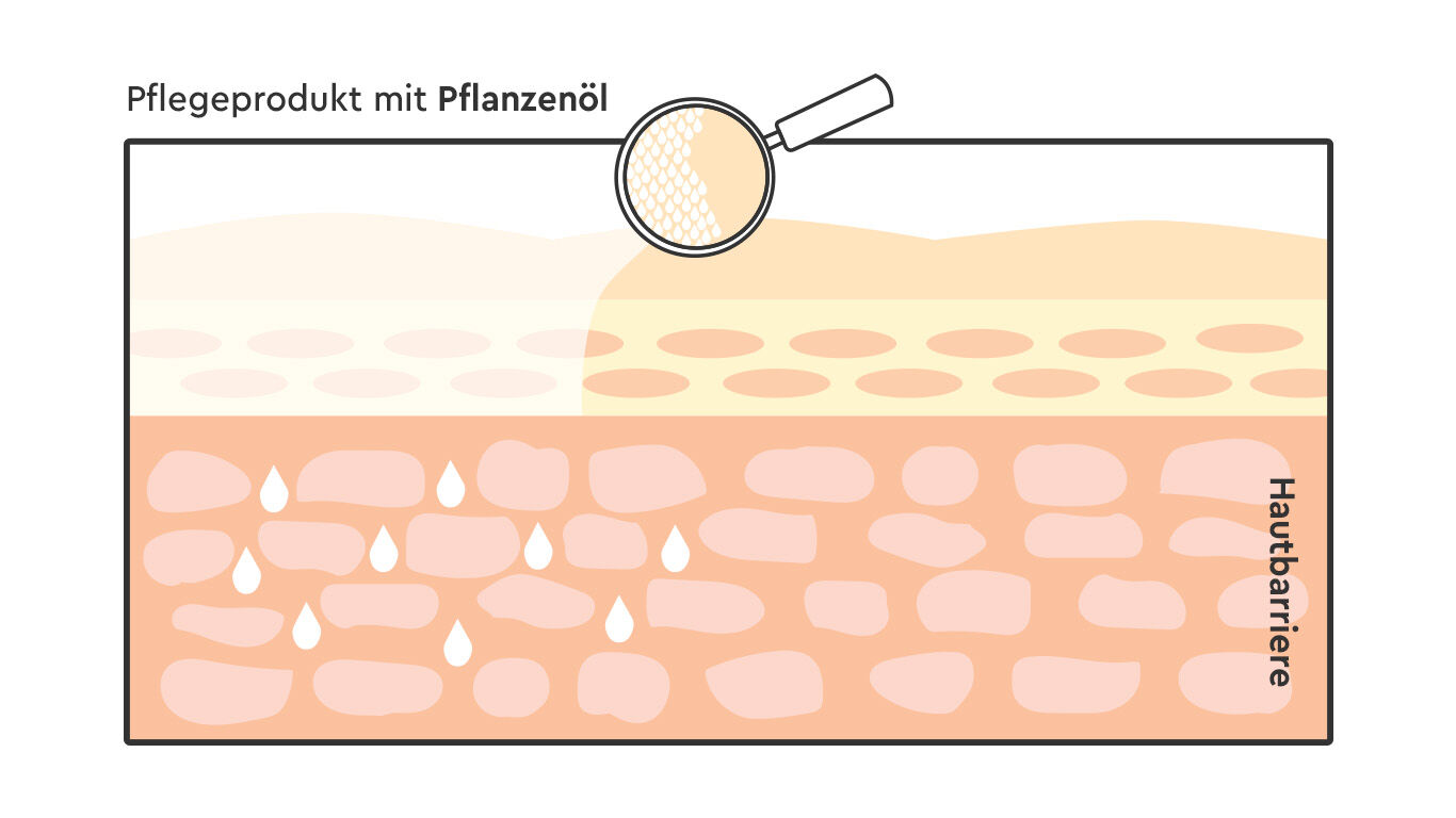 Hautmodell: Pflegeprodukt mit Pflanzenöl