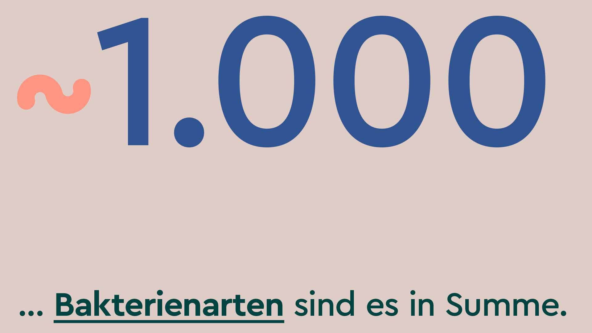 Fakt auf beigen Hintergrund: Unser Hautmikrobiom beherbergt 1.000 Bakterienarten.