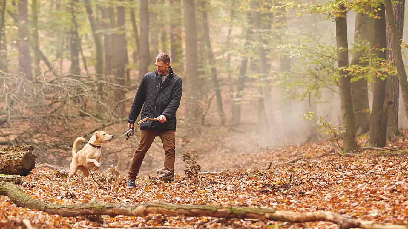 Mann spielt mit seinem hellbraunen Hund Stöckchen im herbstlichen Wald.