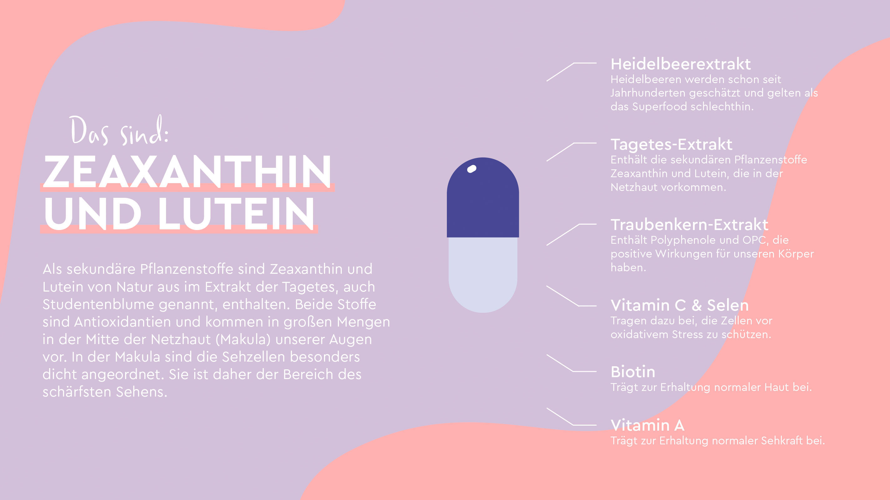 Infografik der Inhaltsstoffe Zeaxanthin und Lutein.