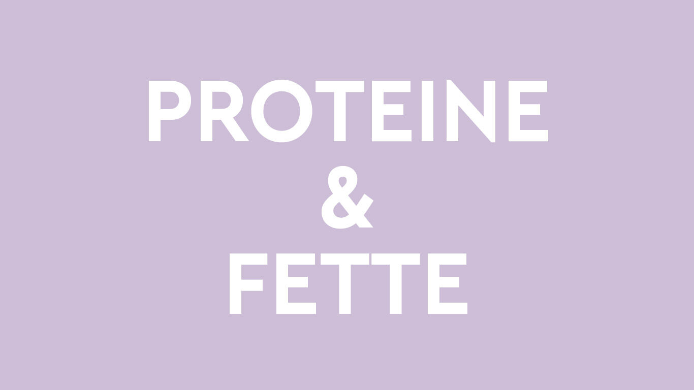 Text auf Farbfläche: Proteine & Fette
