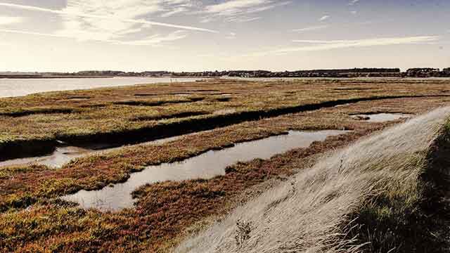 Naturlandschaft am See