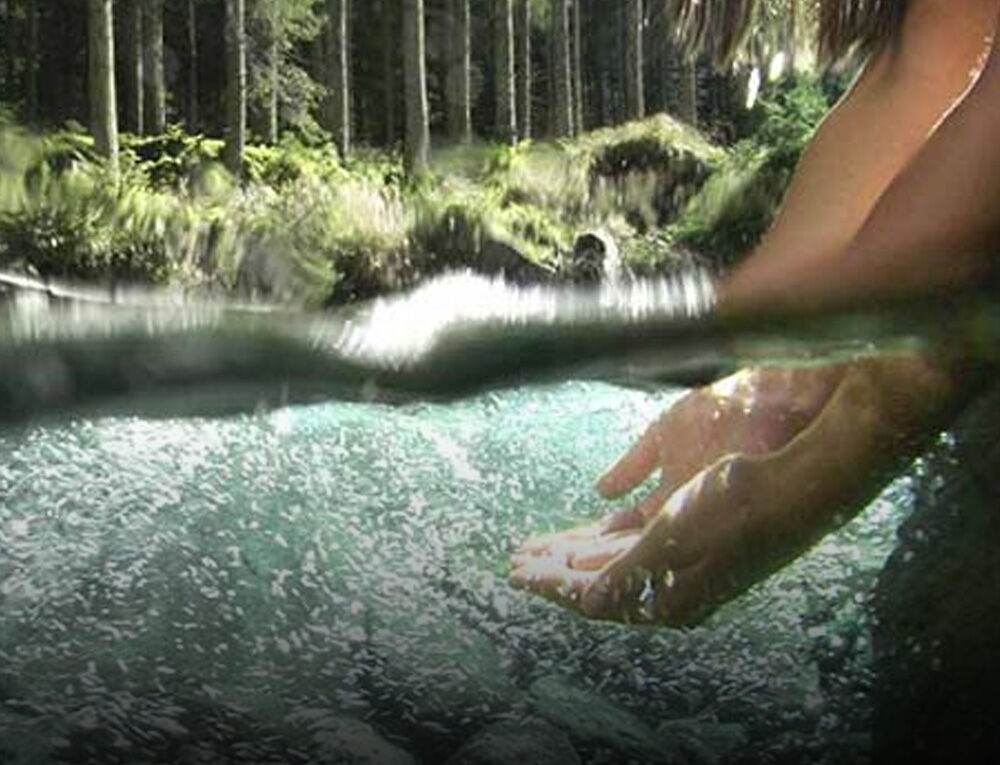 Unterwasseraufnahme von zwei Händen im Wasser, im Hintergrund Waldlandschaft.