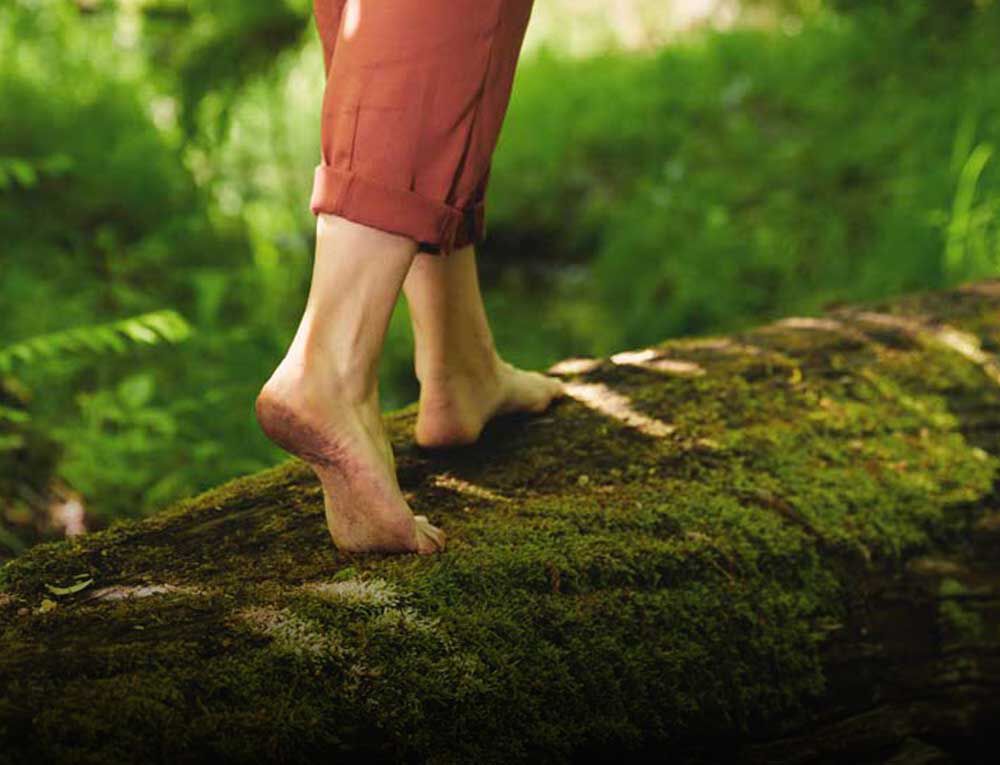 Frauenbeine ab Wade abwärts laufen auf einem bemoostem Baumstamm im Wald. 