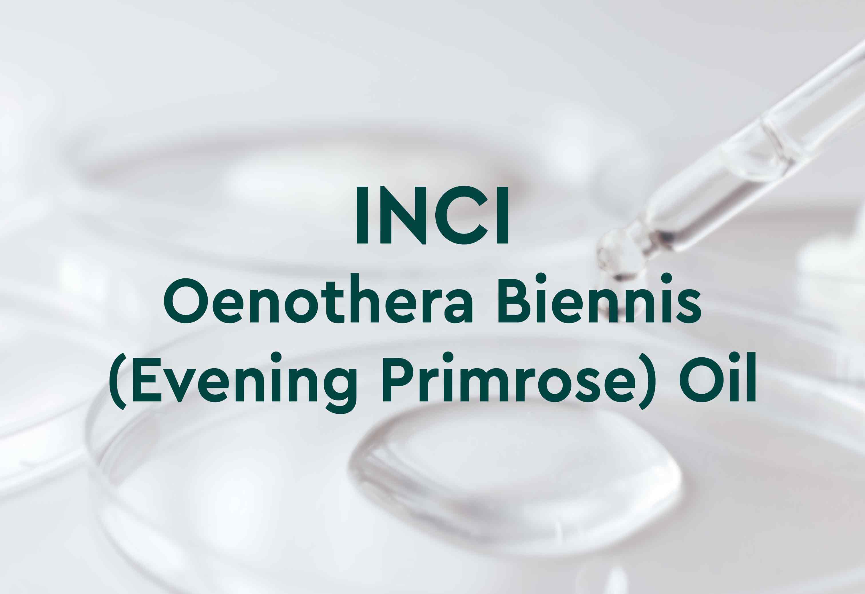 Bild mit Pipette und Petrischale mit Flüssigkeit, darauf Text: INCI Oenothera Biennis (Evening Primrose) Oil.