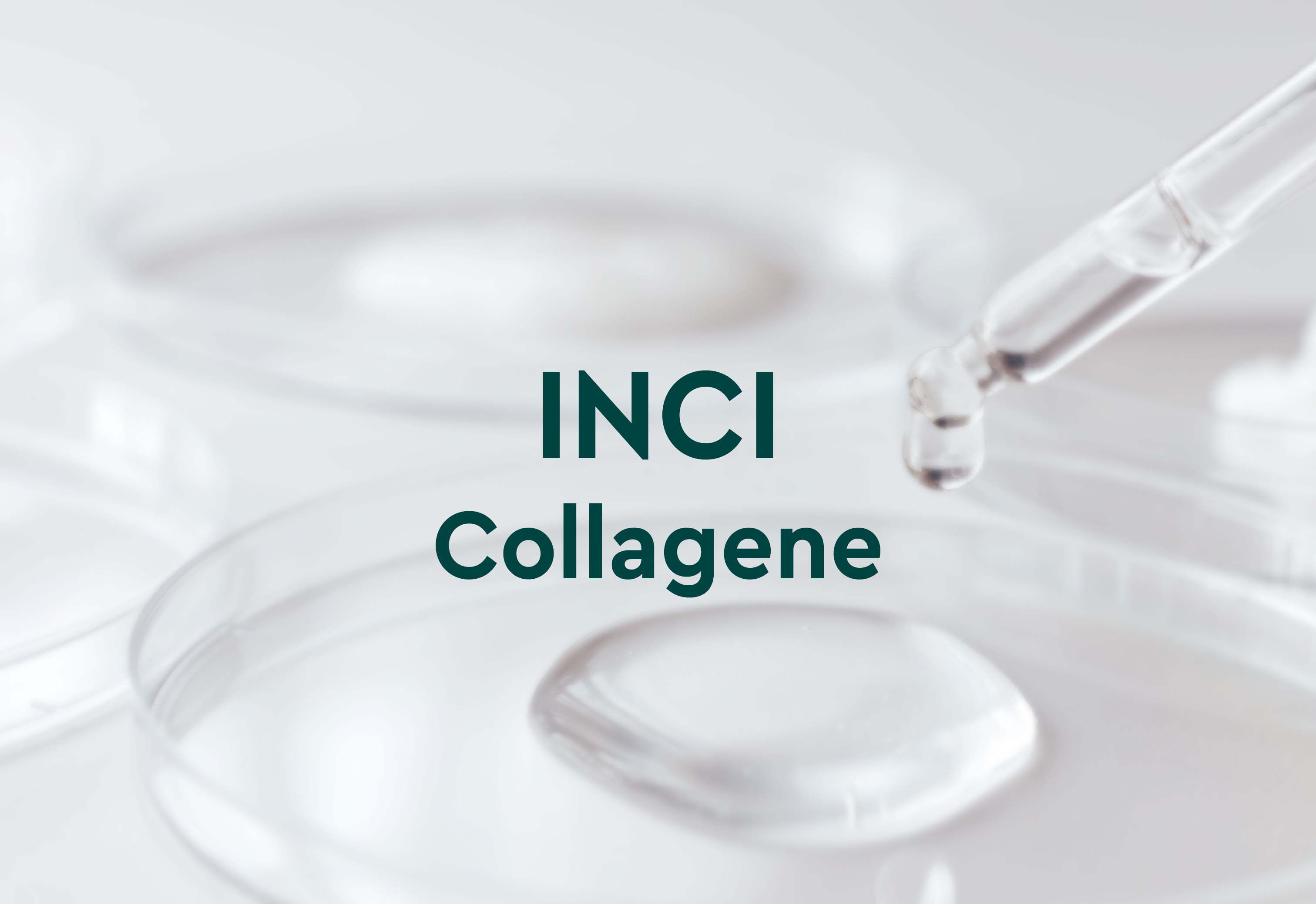 Bild mit Pipette und Petrischale mit Flüssigkeit, darauf Text: INCI Collagene..